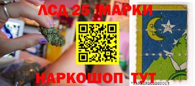 apvp Камень-на-Оби