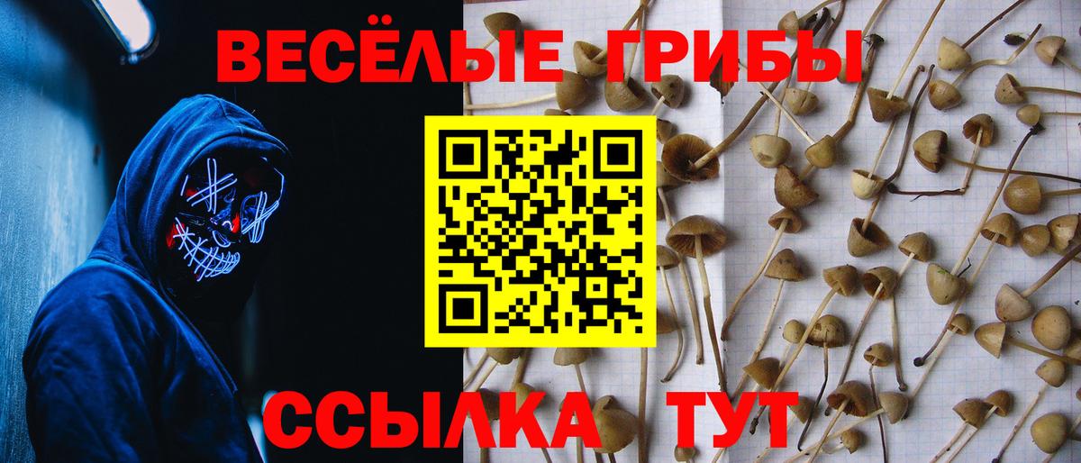 Галлюциногенные грибы Magic Shrooms Краснотурьинск
